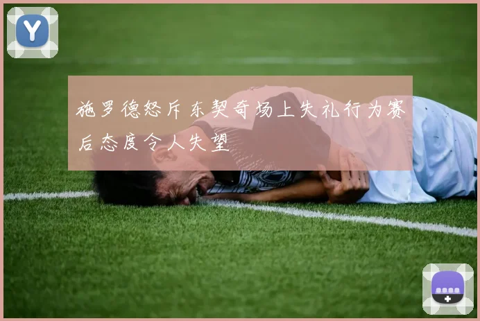 施罗德怒斥东契奇场上失礼行为赛后态度令人失望