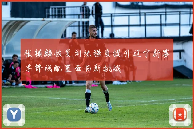 张镇麟恢复训练强度提升辽宁新赛季锋线配置面临新挑战