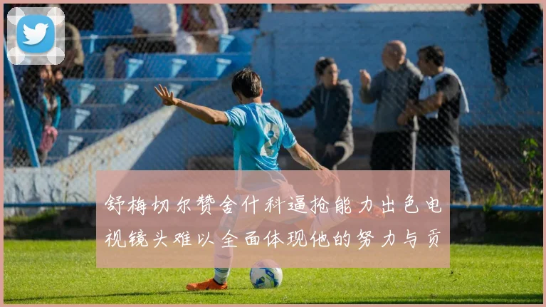 舒梅切尔赞舍什科逼抢能力出色电视镜头难以全面体现他的努力与贡献